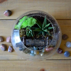 Into The Wild Terrarium Kit -Cute Farms Shop Into the wild 3