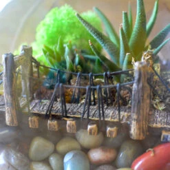 Into The Wild Terrarium Kit -Cute Farms Shop Into the wild 4