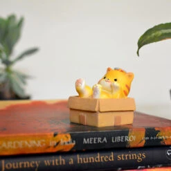 Miniature Kitten In Box Decor – Terrarium & Fairy Garden Resin Figurine 6 Miniature Kitten In Box Decor – Terrarium & Fairy Garden Resin Figurine -Cute Farms Shop Kitten playing in box 2