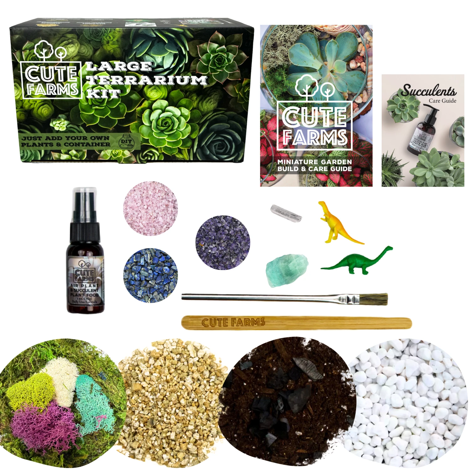 Large Terrarium Starter Kit - Crystal Edition 3 Large Terrarium Starter Kit - Crystal Edition - Image 3