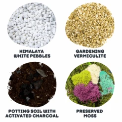 Large Terrarium Starter Kit - Crystal Edition 12 Large Terrarium Starter Kit - Crystal Edition -Cute Farms Shop LTK Crystalscopy2