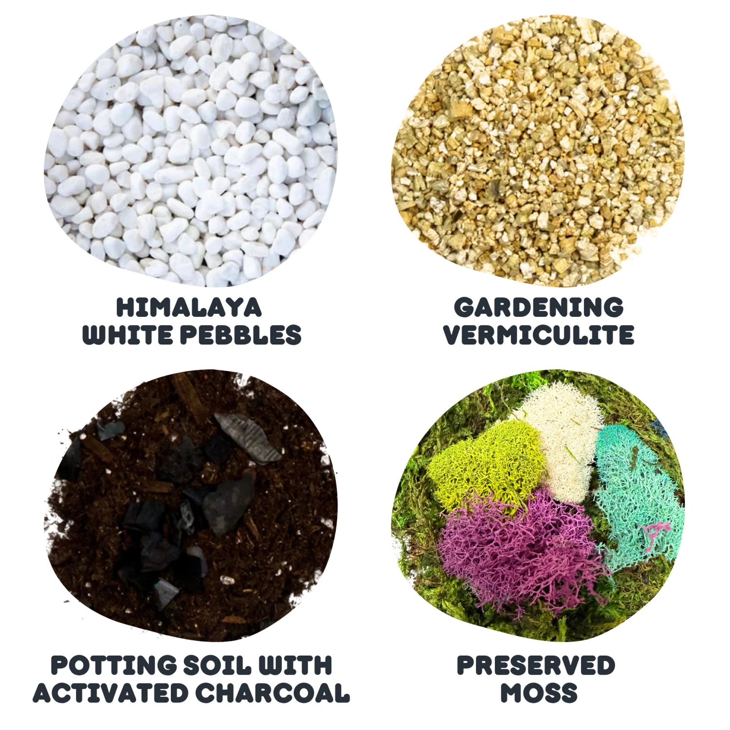 Large Terrarium Starter Kit - Crystal Edition 4 Large Terrarium Starter Kit - Crystal Edition - Image 4