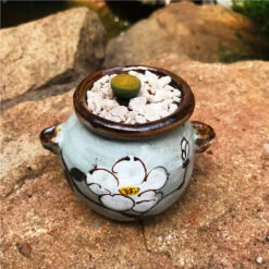 Lithop Fulviceps Aurea Living Stone Succulent Plant -Cute Farms Shop Lithop Fulviceps Aurea 1