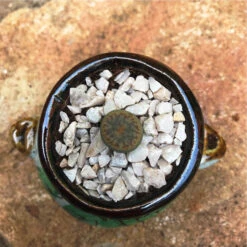 Lithops Pseudotruncatella Ssp. Dentritica Farinosa Living Stone Succulent Plant -Cute Farms Shop Lithops pseudotruncatella ssp. dentritica farinosa