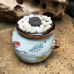 Lithops Lesliei Var. Venteri Living Stone Succulent Plant 9 Lithops Lesliei Var. Venteri Living Stone Succulent Plant -Cute Farms Shop Lithopsleslieivar.venteri