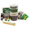 Medium Terrarium Starter Kit -Cute Farms Shop MediumTerrariumKit CuteFarms 40c1ca07 65a7 43d7 b433 5be5b62c90b3