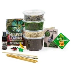 Medium Terrarium Starter Kit