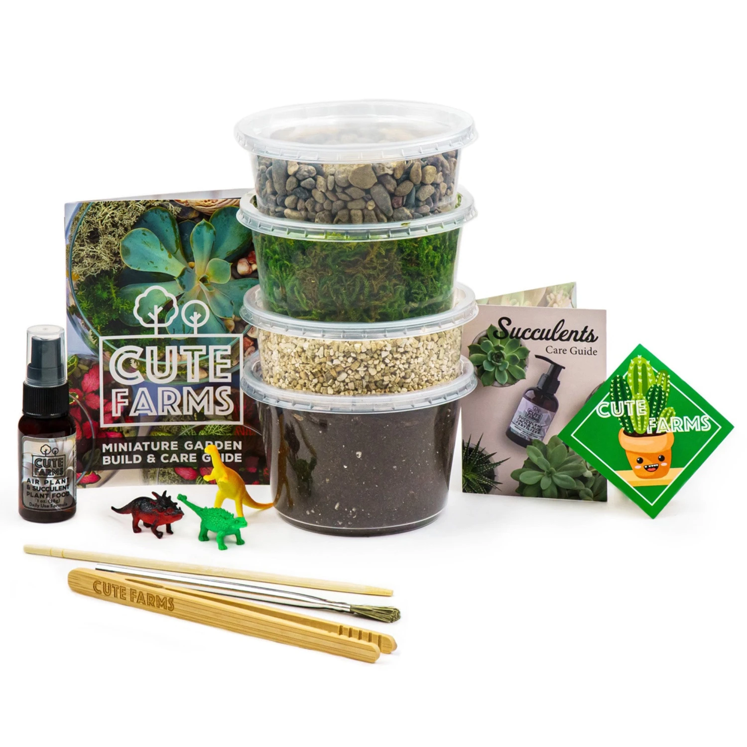 Medium Terrarium Starter Kit 1 Medium Terrarium Starter Kit
