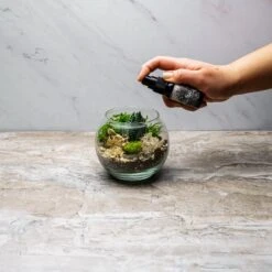 Terrarium Starter Kit + Glass Bowl 11 Terrarium Starter Kit + Glass Bowl -Cute Farms Shop PlantFoodTerrariumKit CuteFarms