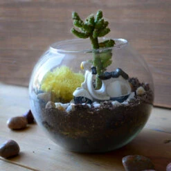 Rider Of The Storm Terrarium Kit