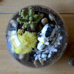 Rider Of The Storm Terrarium Kit -Cute Farms Shop Rider of the storm 4