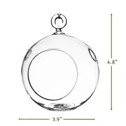 "S" Type Terrarium Kit 10 "S" Type Terrarium Kit -Cute Farms Shop Round Glass