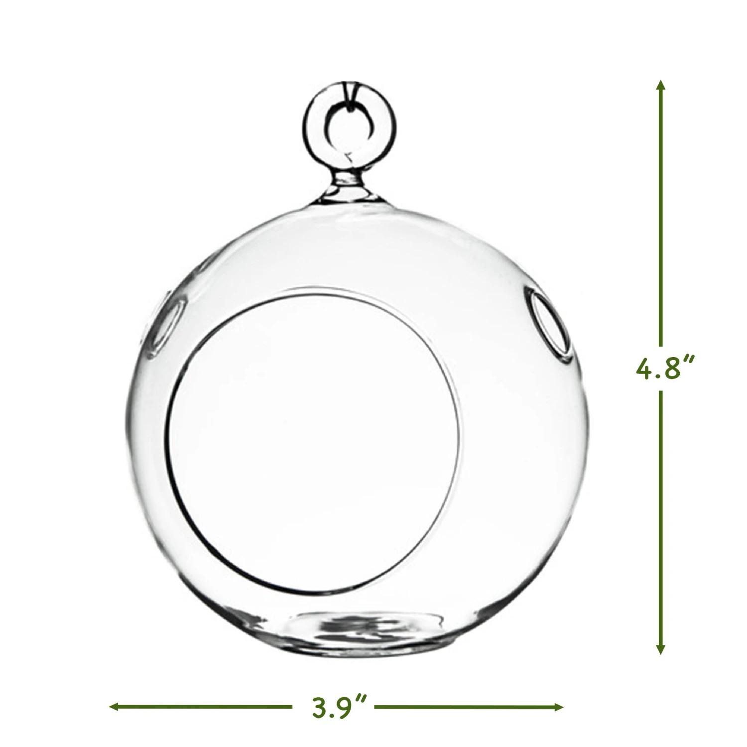 "S" Type Terrarium Kit 3 "S" Type Terrarium Kit - Image 3