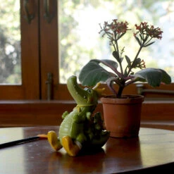 Miniature Royal Crocodile Family – Cute Decor For Gardens & Gifts 7 Miniature Royal Crocodile Family – Cute Decor For Gardens & Gifts -Cute Farms Shop Royal Crocodile Family 4