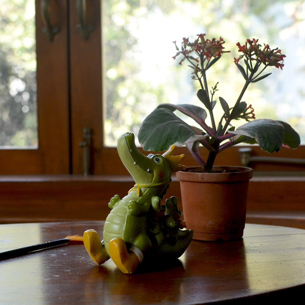 Miniature Royal Crocodile Family – Cute Decor For Gardens & Gifts 4 Miniature Royal Crocodile Family – Cute Decor For Gardens & Gifts - Image 4