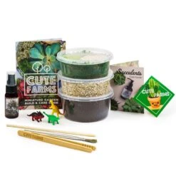 Small Terrarium Starter Kit