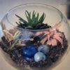 5" Fish Pot Planter -Cute Farms Shop T17 1
