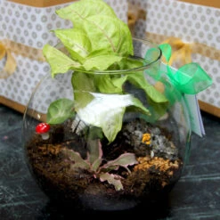 10" Fish Pot Planter With Neck