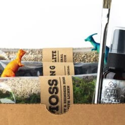 Terrarium Starter Kit -Cute Farms Shop TerrariumKit