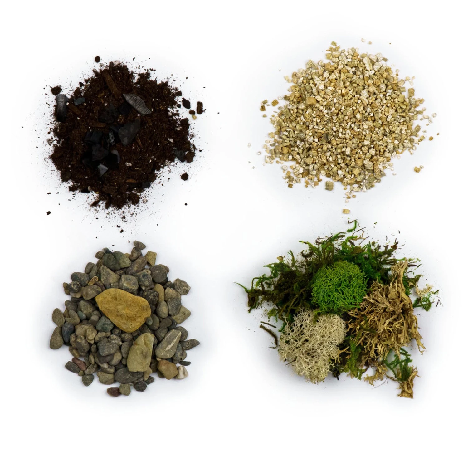 Large Terrarium Starter Kit 7 Large Terrarium Starter Kit - Image 7