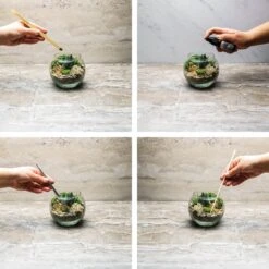 Large Terrarium Starter Kit 12 Large Terrarium Starter Kit -Cute Farms Shop TerrariumKitTools 08815352 41a8 43c4 a124 4b2829d63375 1