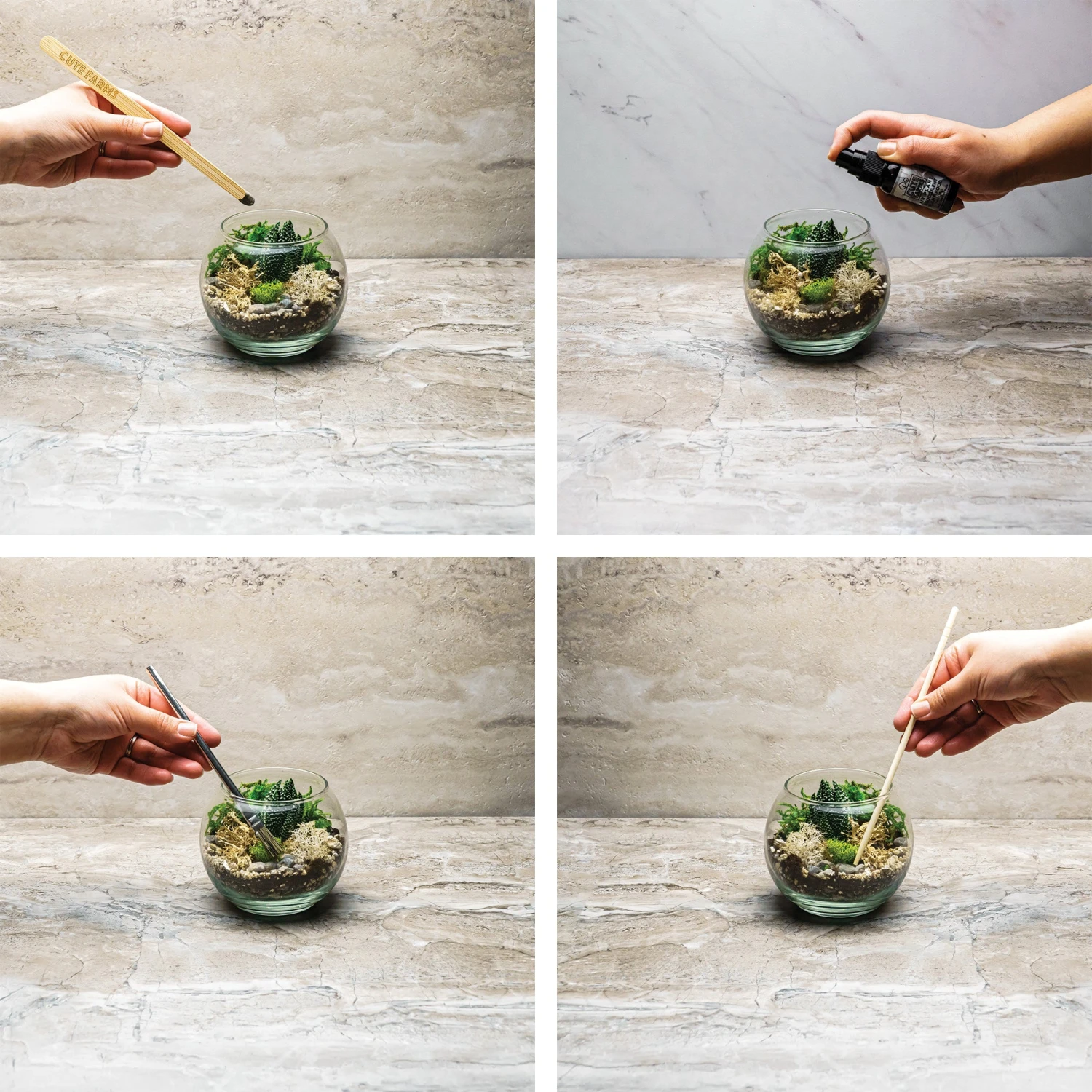 Large Terrarium Starter Kit 5 Large Terrarium Starter Kit - Image 5