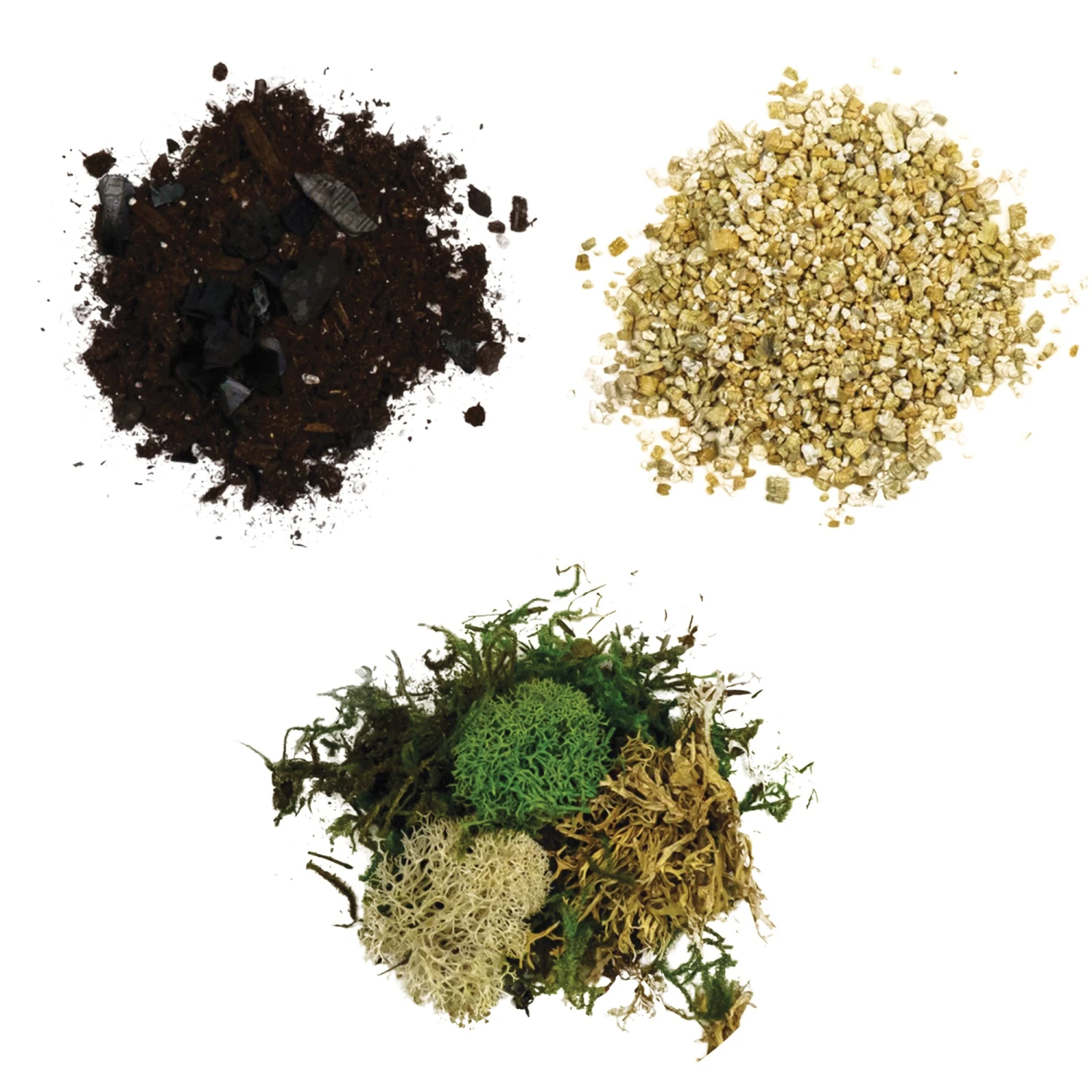 "S" Type Terrarium Kit 5 "S" Type Terrarium Kit - Image 5