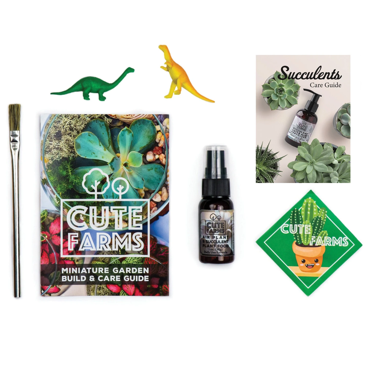 "S" Type Terrarium Kit 2 "S" Type Terrarium Kit - Image 2