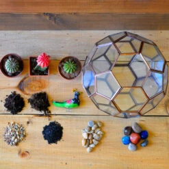 Thar Wanderlust Terrarium Kit -Cute Farms Shop Thar Wanderlust 3