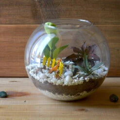 Arctic Forest Terrarium Kit -Cute Farms Shop The Arctic Forest 3