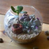 The Arid Mirage Terrarium Kit -Cute Farms Shop The Arid Mirage 1 81a7aae6 e895 412d a748 326ca7870838