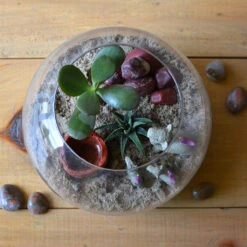 The Arid Mirage Terrarium Kit 6 The Arid Mirage Terrarium Kit -Cute Farms Shop The Arid Mirage 4