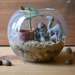 The Arid Mirage Terrarium Kit 7 The Arid Mirage Terrarium Kit -Cute Farms Shop The Arid Mirage 5