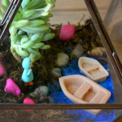 The Jamaican Farewell Terrarium Kit -Cute Farms Shop The jamaican farewell 3