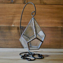 The Jungle Blues Terrarium Kit -Cute Farms Shop The jungle blues 4