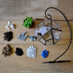 The Jungle Blues Terrarium Kit -Cute Farms Shop The jungle blues 5