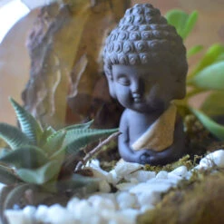 The Pondering Buddha Terrarium Kit -Cute Farms Shop The pondering buddha 4