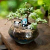 Three Jaded Pandas Terrarium Kit 11 Three Jaded Pandas Terrarium Kit -Cute Farms Shop Three jaded panda new6