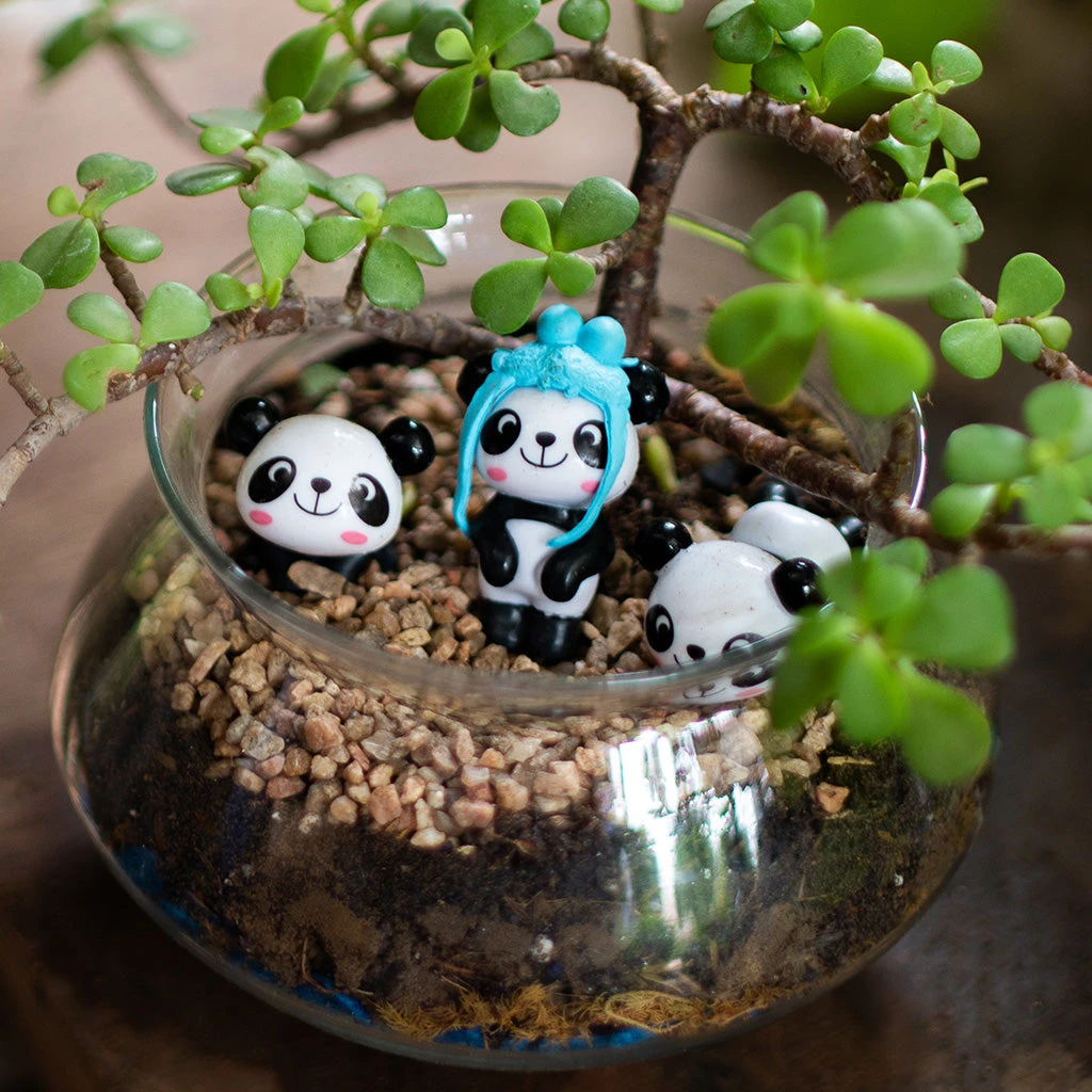 Three Jaded Pandas Terrarium Kit 2 Three Jaded Pandas Terrarium Kit - Image 2