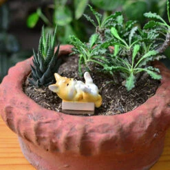 Miniature Dog Eating Bone – Adorable Resin Decor For Fairy Gardens -Cute Farms Shop cute dog with bone 3