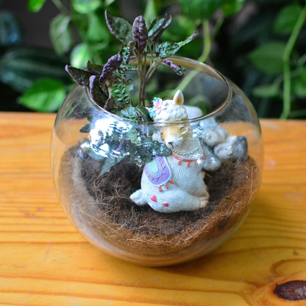 Miniature Cute Llama Sitting Decor 4 Miniature Cute Llama Sitting Decor - Image 4