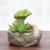 Cute Monk Relaxing Resin Succulent Pot 9 Cute Monk Relaxing Resin Succulent Pot -Cute Farms Shop cute monk relaxing 1 copy