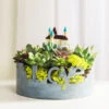 Love For Nature Resin Succulent Pot -Cute Farms Shop love for nature resinpot 1