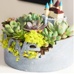 Love For Nature Resin Succulent Pot -Cute Farms Shop love for nature resinpot 3