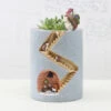 Hedgehog Family Home Resin Succulent Pot 7 Hedgehog Family Home Resin Succulent Pot -Cute Farms Shop resin hedgehog family in home 1