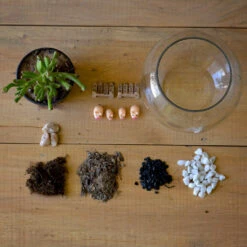 The Grimy Gollum Terrarium Kit -Cute Farms Shop the grimy gollum 4